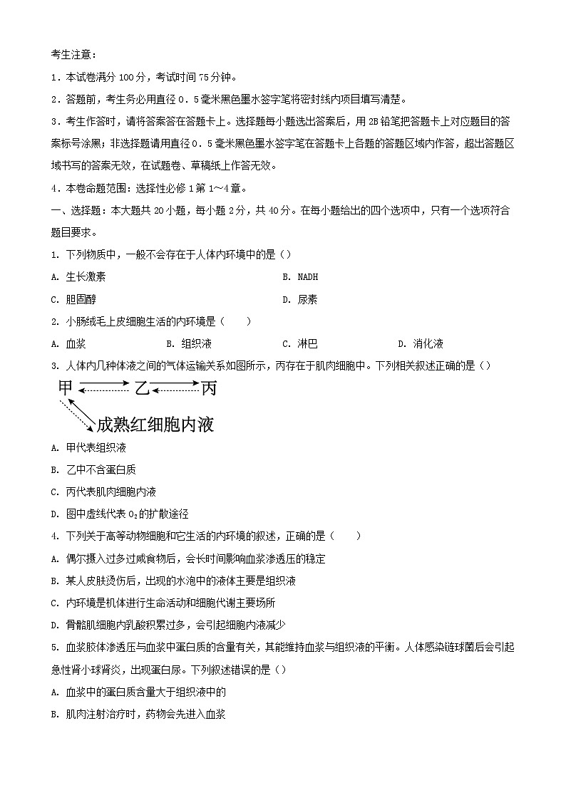 黑龙江省齐齐哈尔市2023_2024学年高二生物上学期10月期中试题第1页