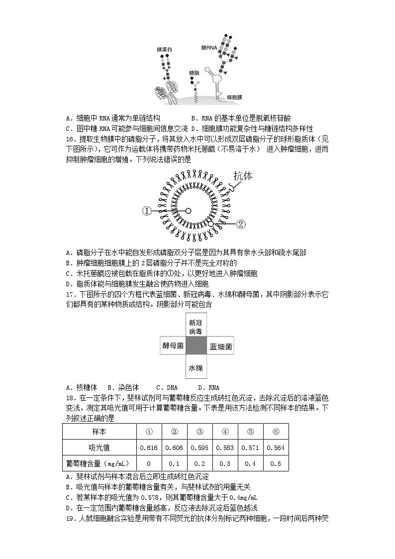 湖北省2023_2024学年高一生物上学期10月月考试题第3页