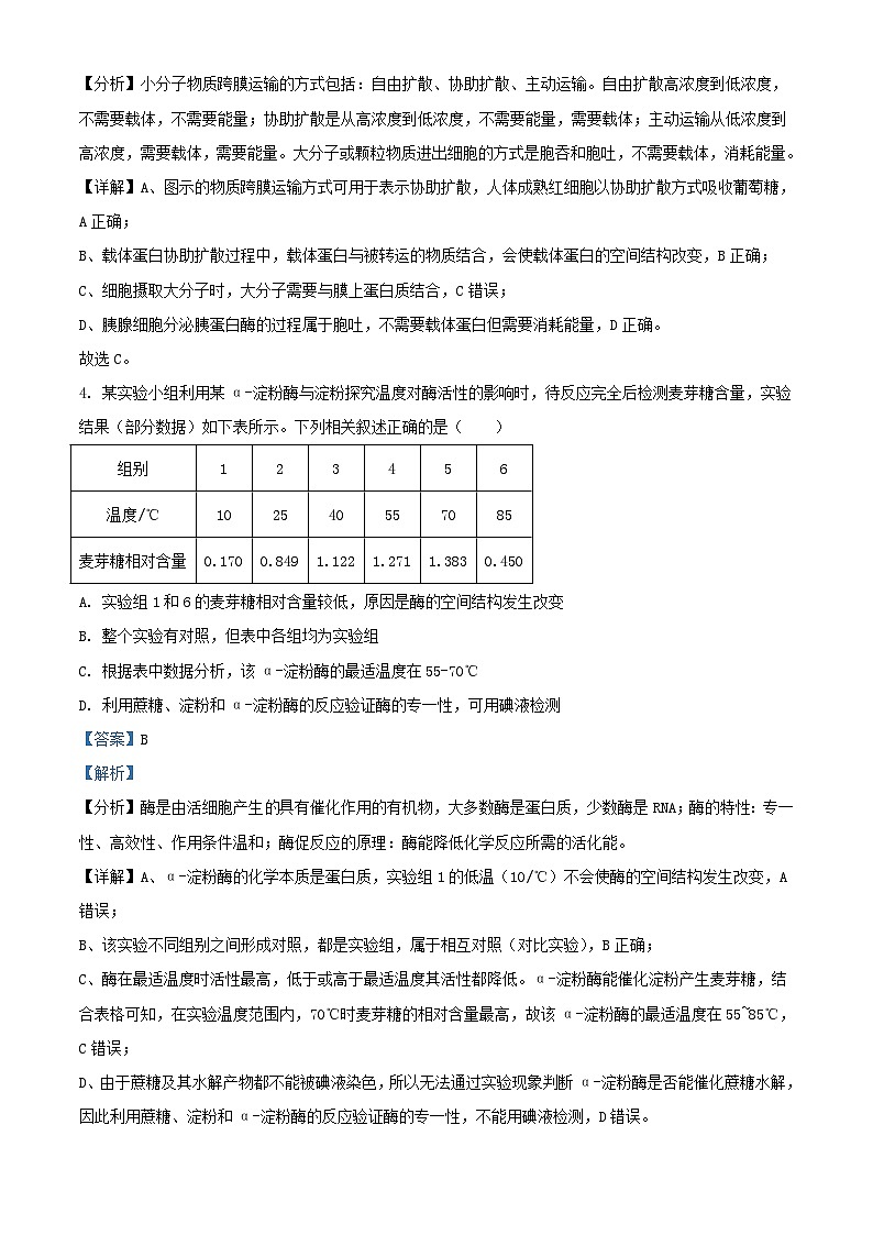 吉林省长春市2023_2024学年高三生物上学期10月考试试题含解析第3页