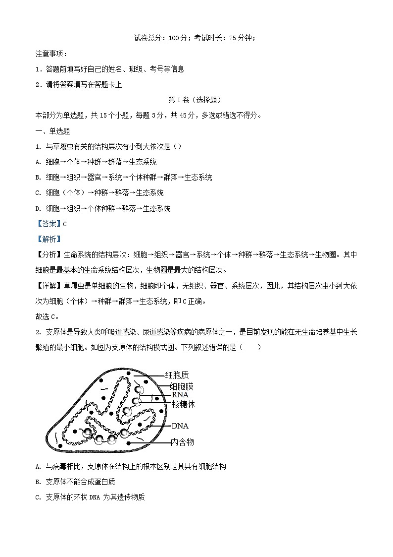 四川省达州市2023_2024学年高一生物上学期10月月考试题含解析01