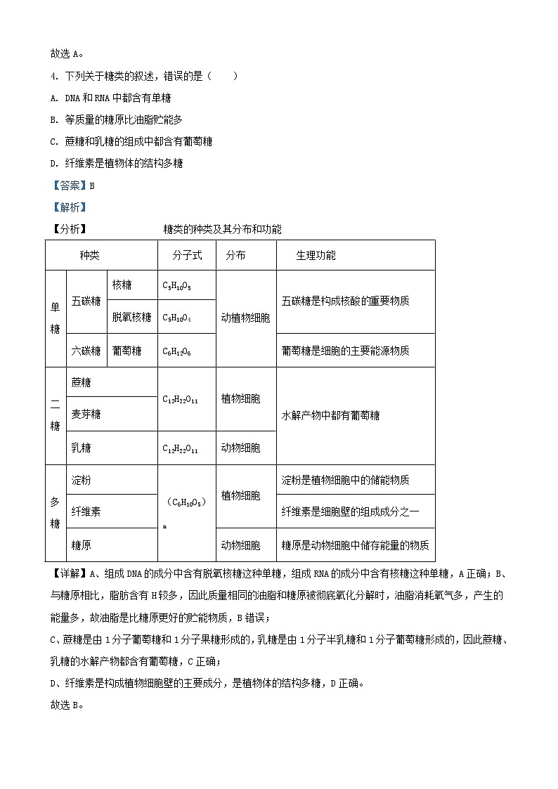 四川省资阳市2023_2024学年高一生物上学期10月月考试题含解析第3页