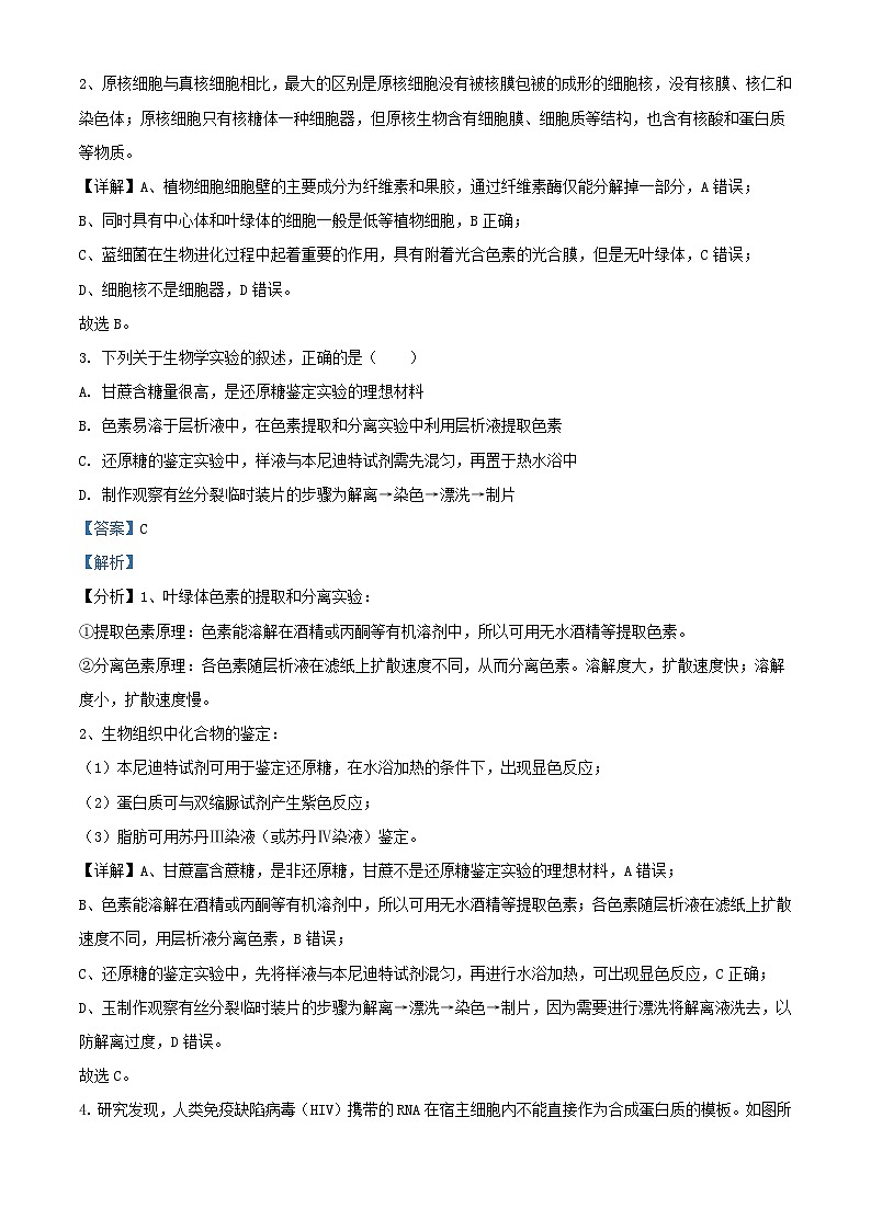 浙江省2023_2024学年高二生物上学期10月联考试题含解析第2页