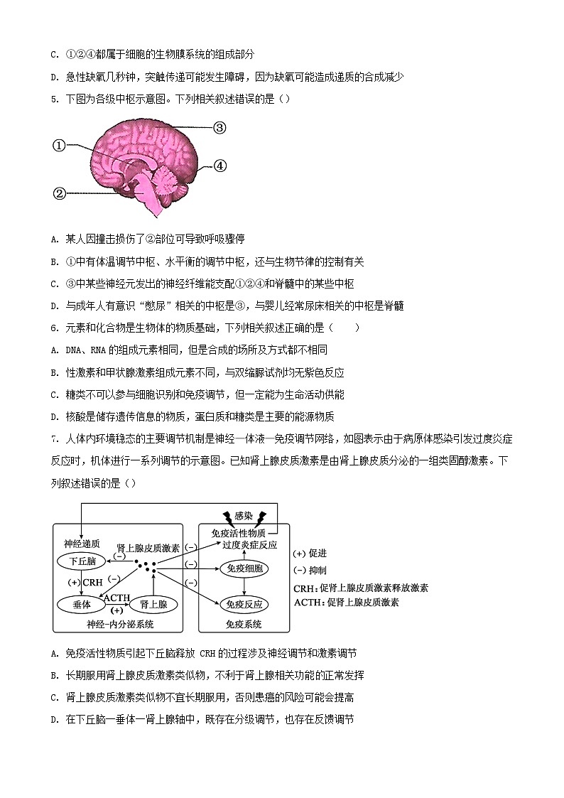 浙江省2023_2024学年高二生物上学期10月月考试题含解析第2页