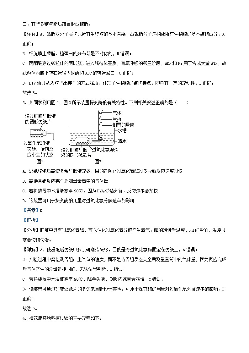 浙江省2023_2024学年高三生物上学期10月联考试题含解析第2页