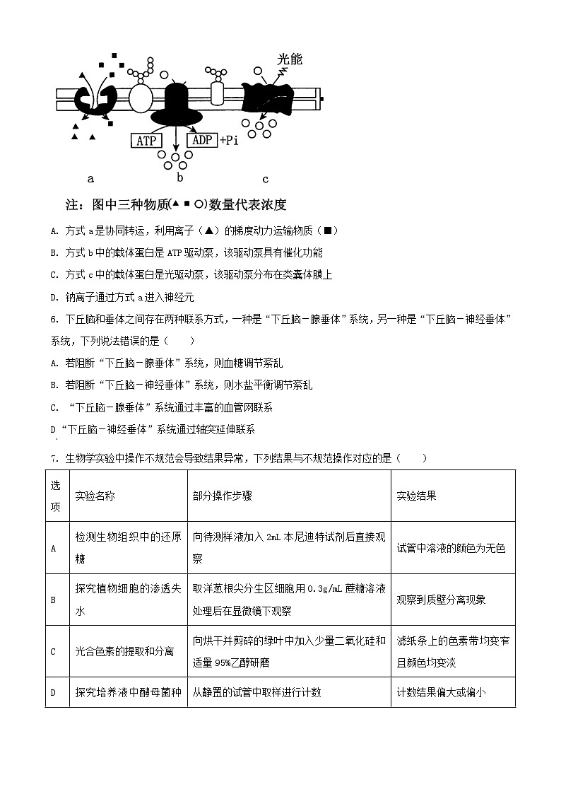 浙江省2023_2024学年高三生物上学期首考12月模拟卷含解析第2页