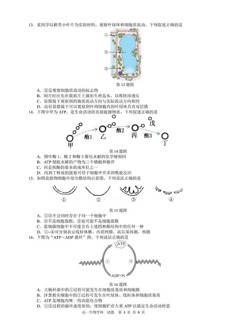 浙江省2023_2024学年高一生物上学期12月联考试题pdf第3页