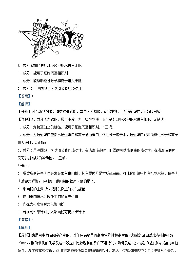 浙江省2023_2024学年高一生物上学期12月月考试题含解析第3页
