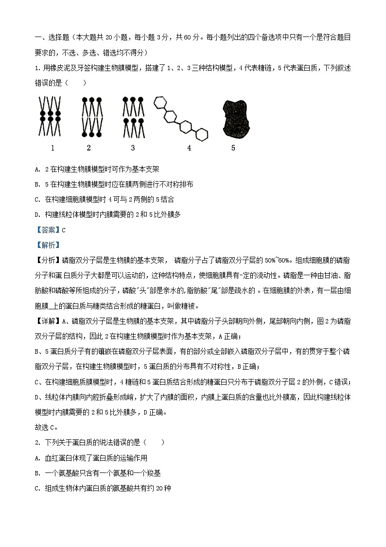 浙江省嘉兴市2023_2024学年高一生物上学期12月月考试题含解析第1页