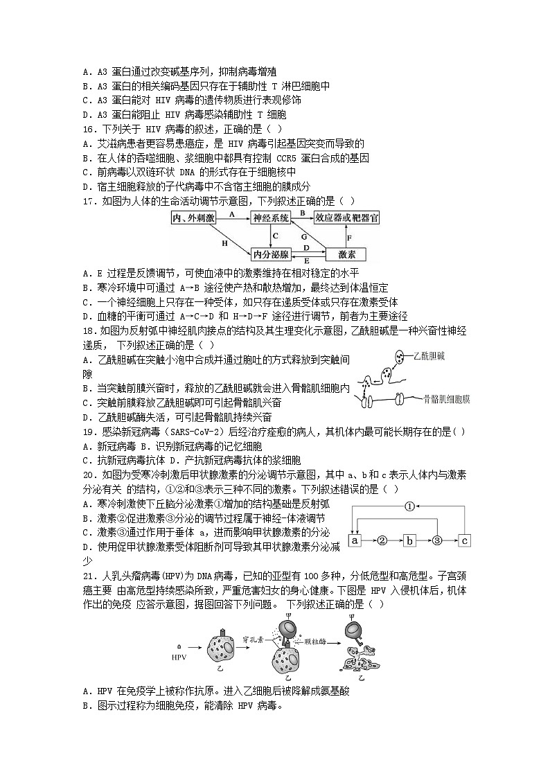 浙江省温州市2023_2024学年高二生物上学期期中联考试卷第3页