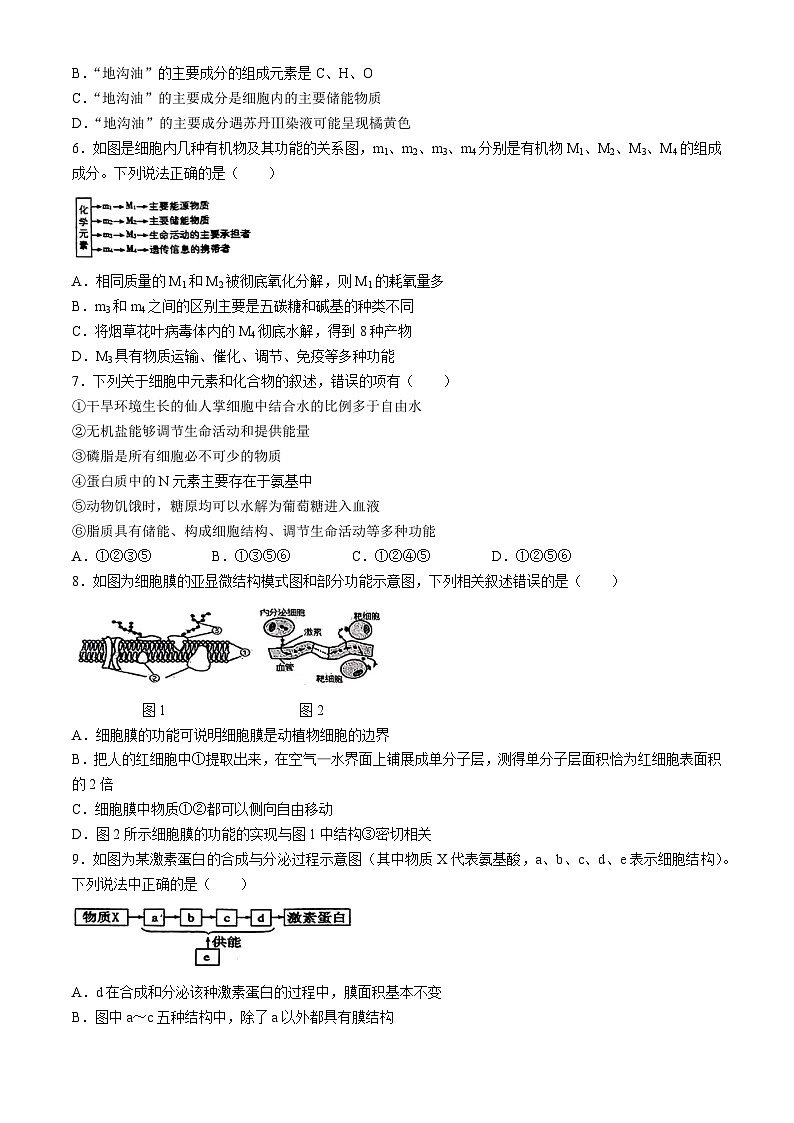 辽宁省丹东市七校协作体2024-2025学年高一上学期11月期中生物试题第2页