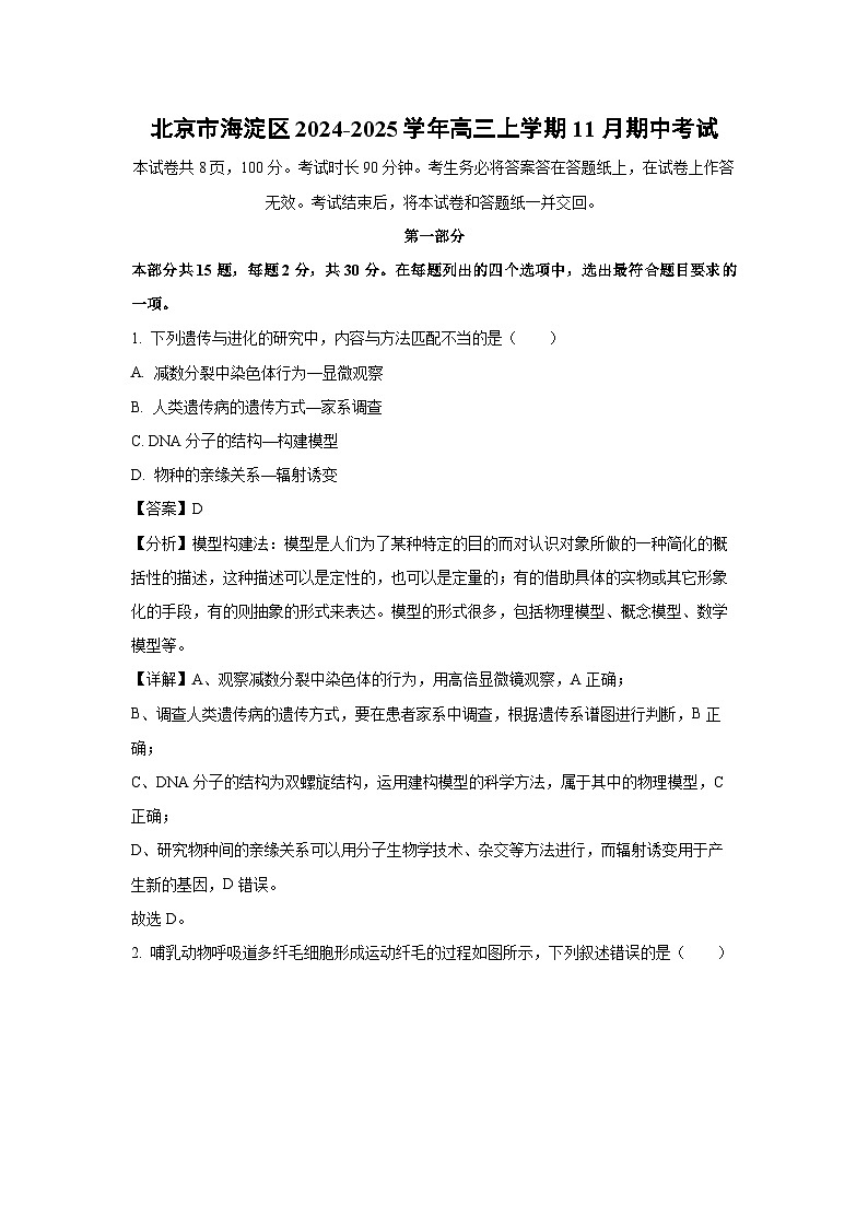北京市海淀区2024-2025学年高三上学期11月期中考试生物试卷（解析版）第1页