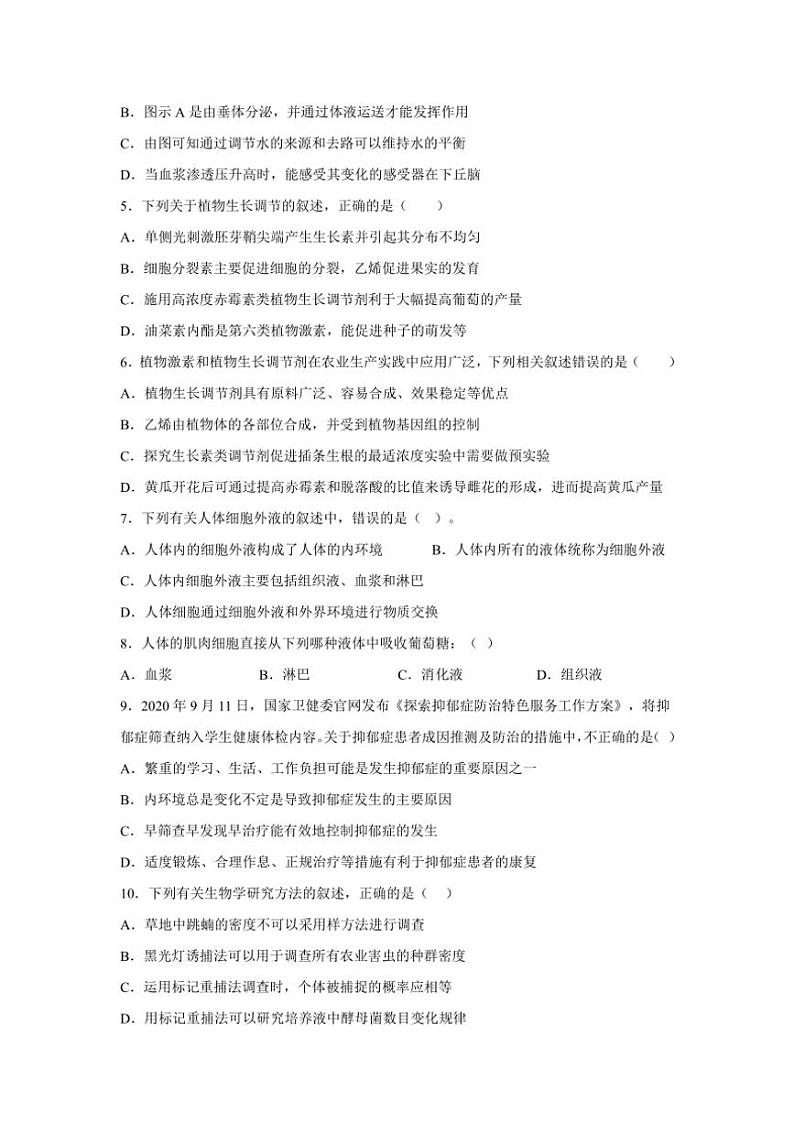 江苏省马坝高级中学2024～2025学年高二(上)期中生物(选修)试卷(含答案)第2页