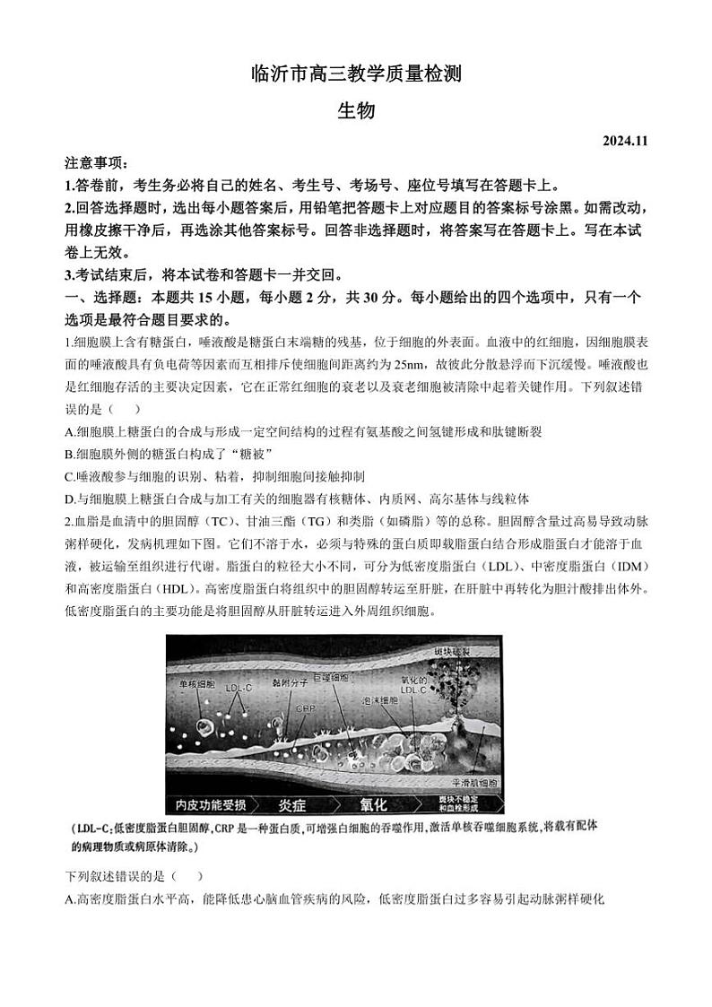 山东省临沂市2024～2025学年高三(上)期中生物试卷(含答案)01