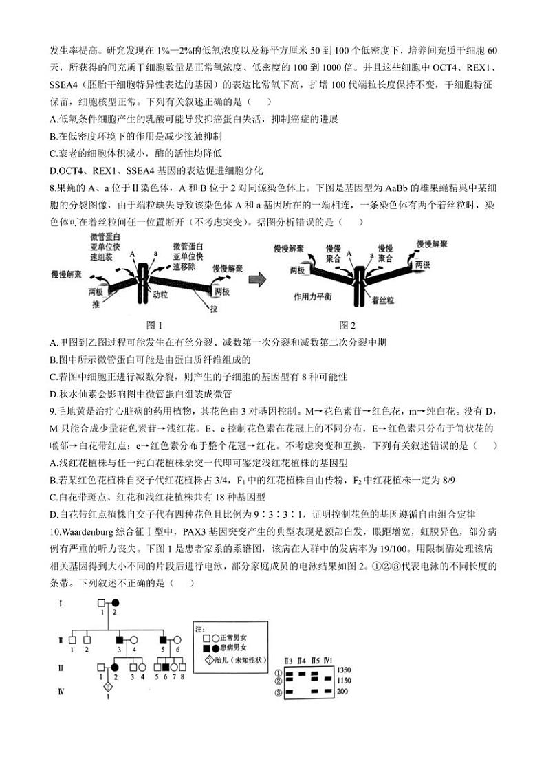 山东省临沂市2024～2025学年高三(上)期中生物试卷(含答案)03
