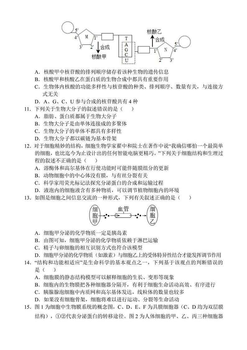 海南省文昌中学2024～2025学年高一(上)11月段考生物试卷(含答案)第3页