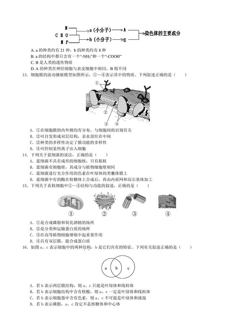 浙江省宁波市北仑中学2024～2025学年高一(上)期中生物2、4～8、11～17班试卷(含答案)第3页