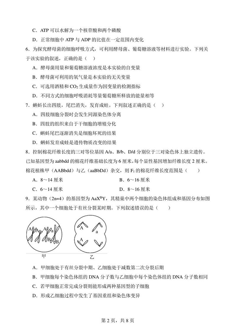 云南省玉溪市第一中学2024～2025学年高二(上)期中生物试卷(含答案)第2页