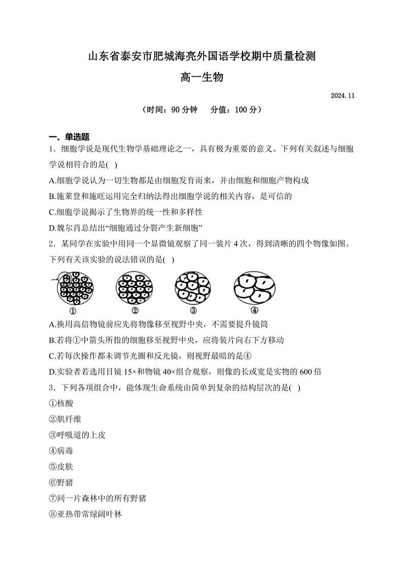 山东省泰安市肥城市肥城海亮外国语学校2024～2025学年高一(上)期中检测生物试卷(含解析)第1页