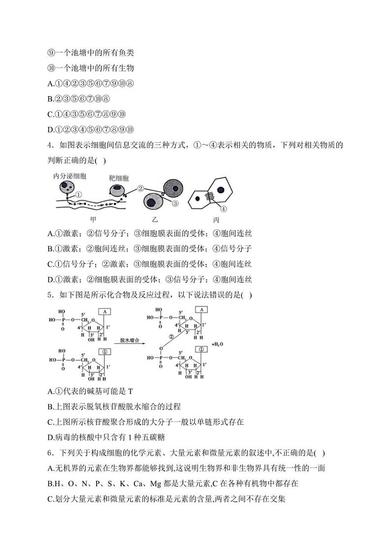 山东省泰安市肥城市肥城海亮外国语学校2024～2025学年高一(上)期中检测生物试卷(含解析)第2页