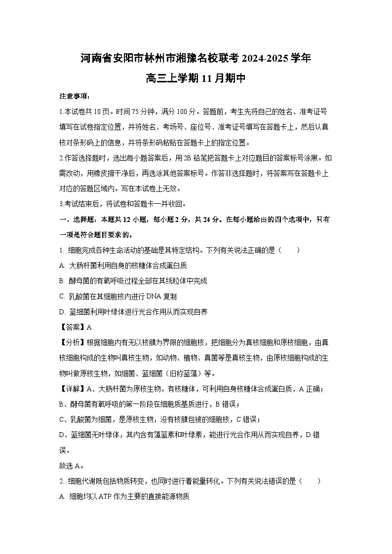 河南省安阳市林州市湘豫名校联考2024-2025学年高三上学期11月期中生物试卷（解析版）01