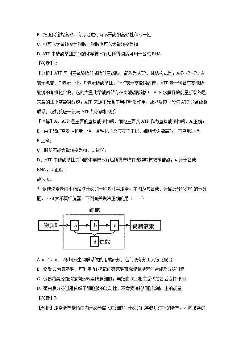 河南省安阳市林州市湘豫名校联考2024-2025学年高三上学期11月期中生物试卷（解析版）02
