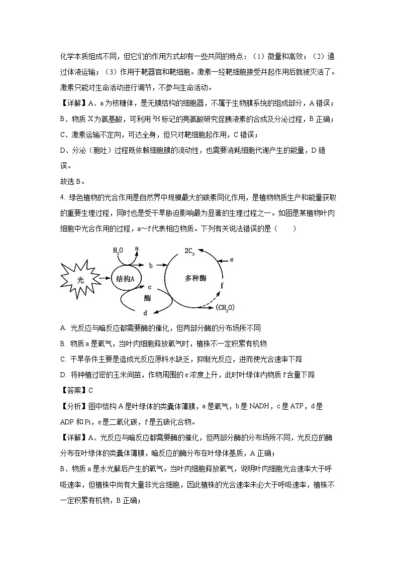 河南省安阳市林州市湘豫名校联考2024-2025学年高三上学期11月期中生物试卷（解析版）03