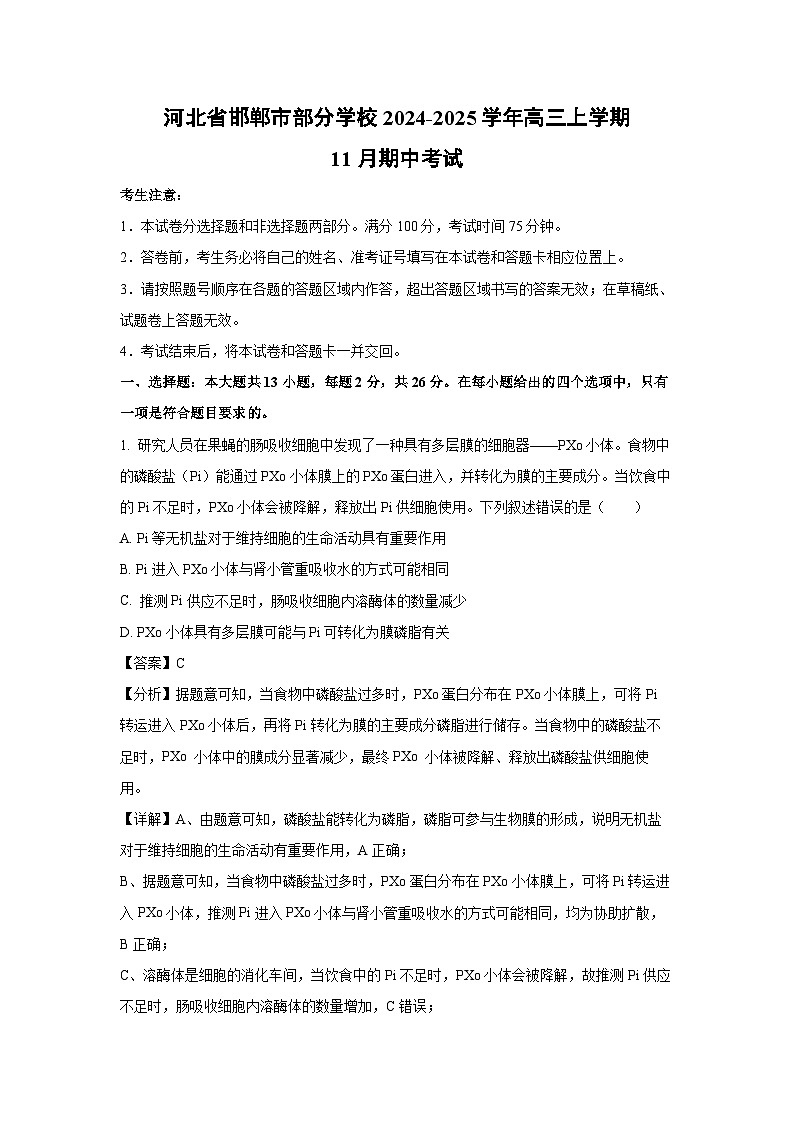 河北省邯郸市部分学校2024-2025学年高三上学期11月期中考试生物试卷（解析版）第1页