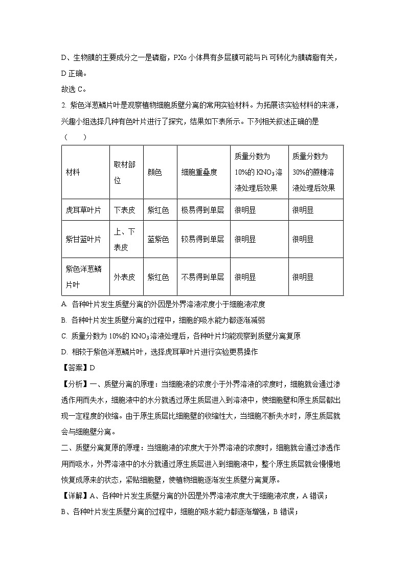 河北省邯郸市部分学校2024-2025学年高三上学期11月期中考试生物试卷（解析版）第2页