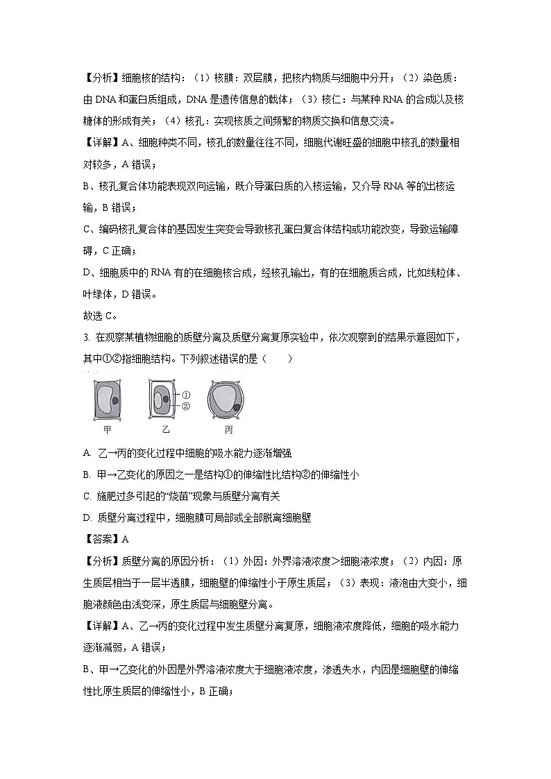 重庆市2024-2025学年高三上学期11月期中生物试卷（解析版）第2页