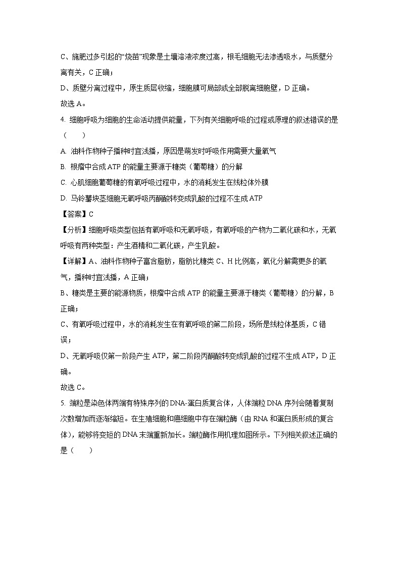 重庆市2024-2025学年高三上学期11月期中生物试卷（解析版）第3页