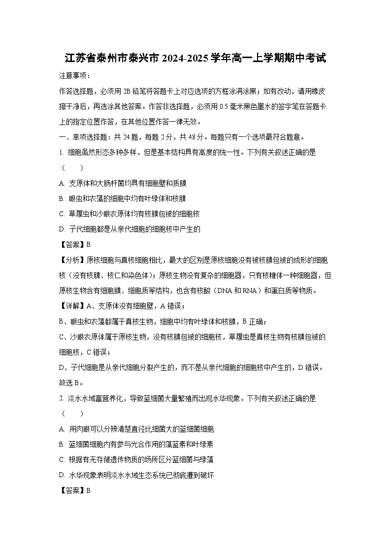 江苏省泰州市泰兴市2024-2025学年高一上学期期中考试生物试卷（解析版）01