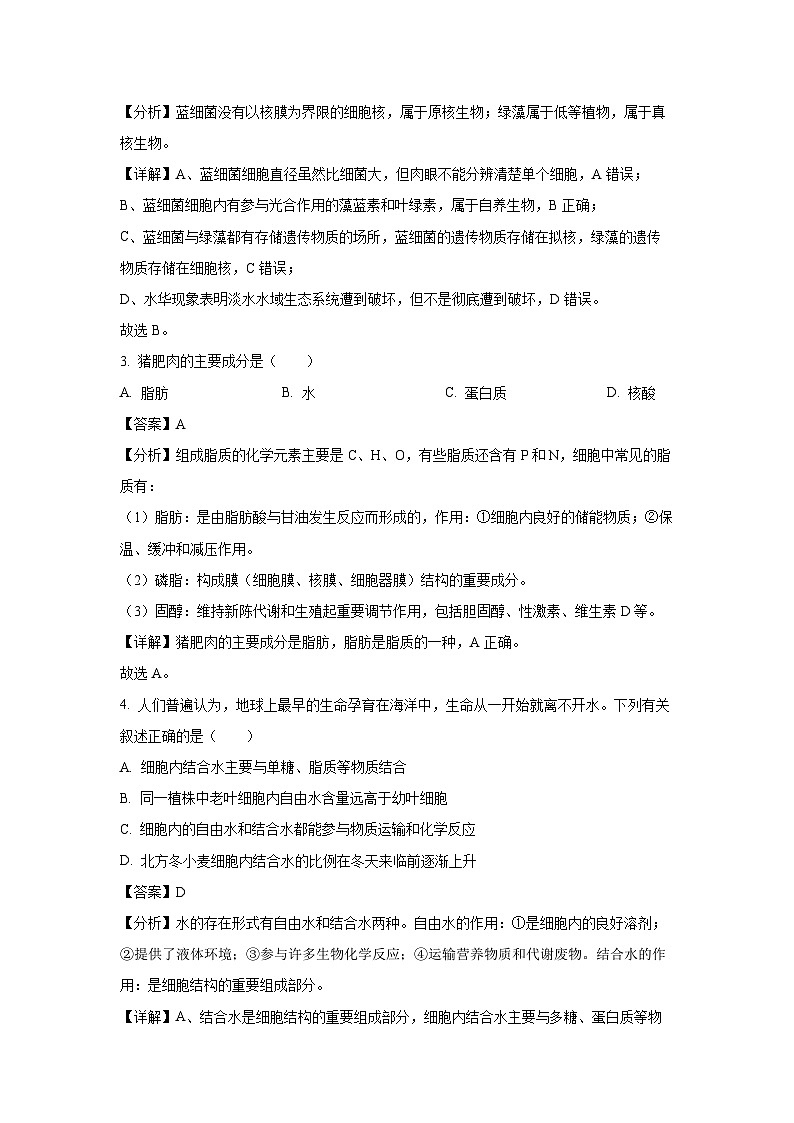 江苏省泰州市泰兴市2024-2025学年高一上学期期中考试生物试卷（解析版）02