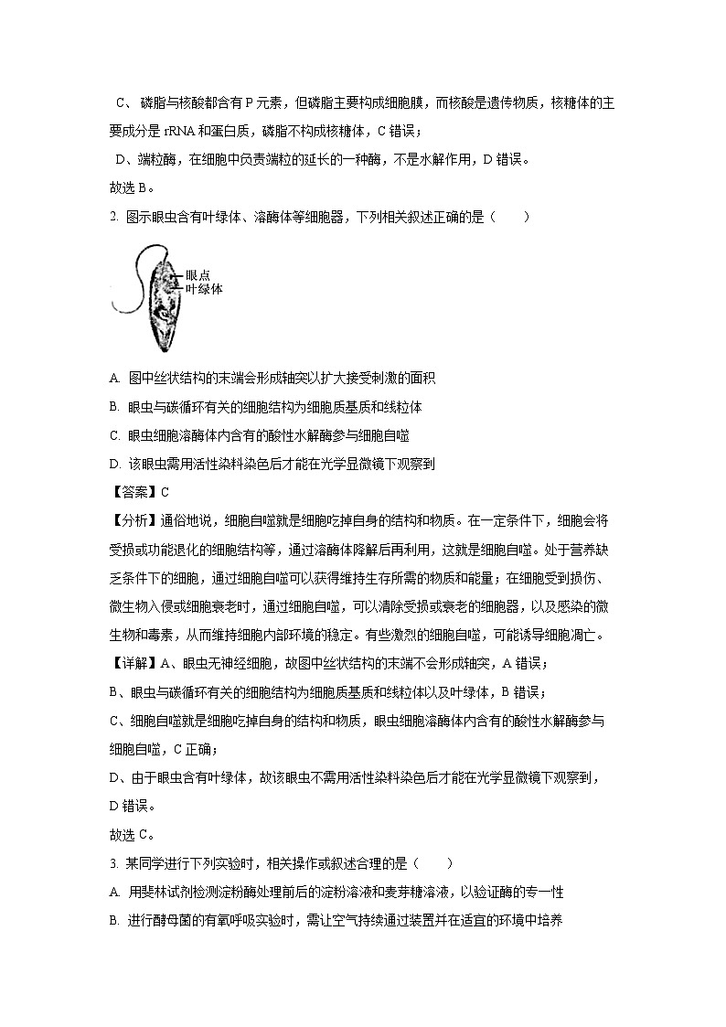 江苏省常州市2024-2025学年高三上学期11月期中生物试卷（解析版）第2页
