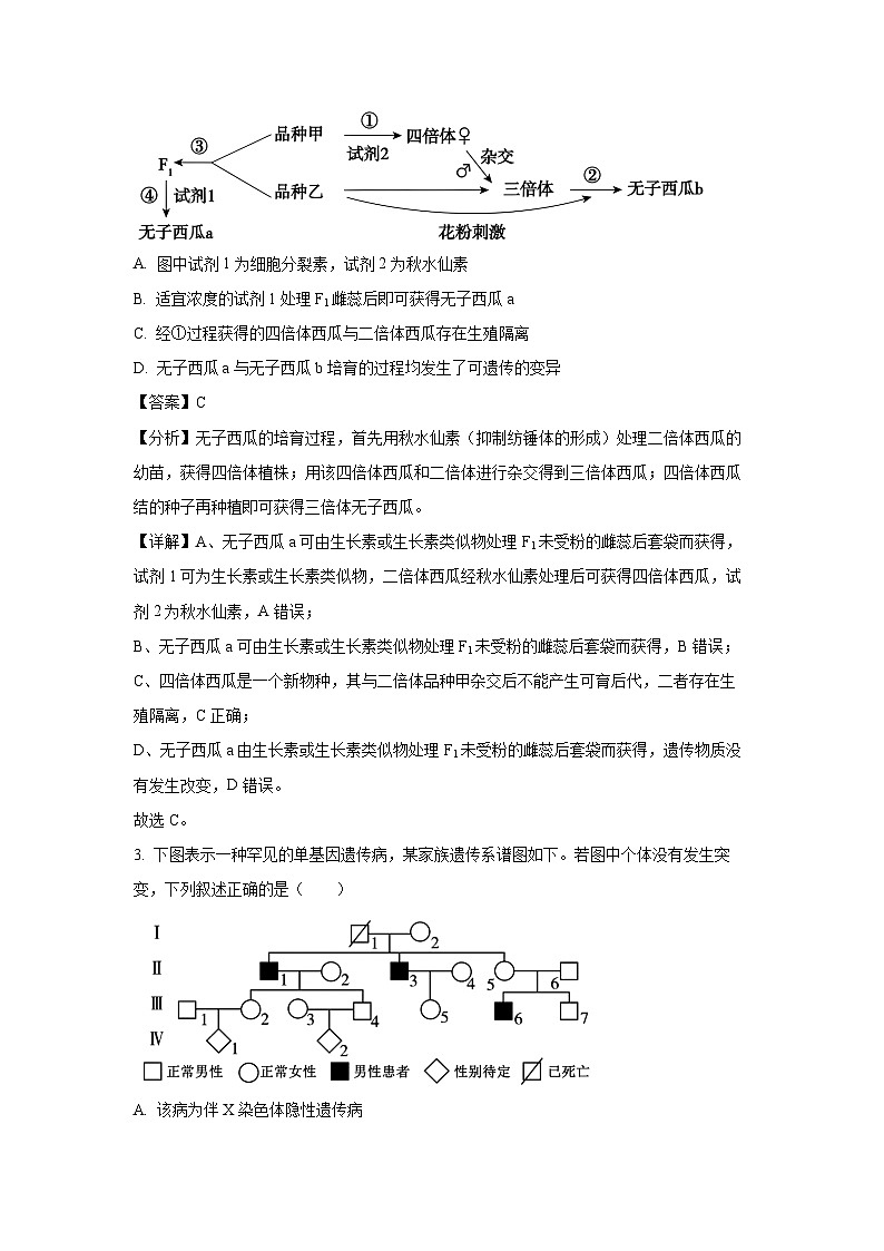 江苏省南通市如皋十四校联考2024-2025学年高三上学期11月期中生物试卷（解析版）第2页