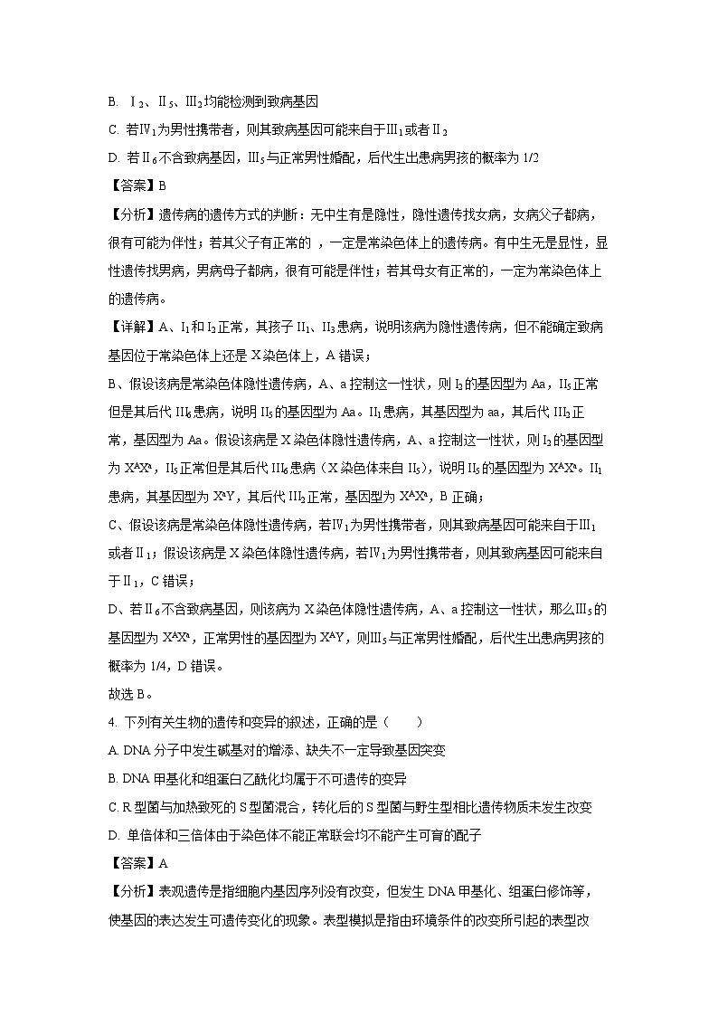 江苏省南通市如皋十四校联考2024-2025学年高三上学期11月期中生物试卷（解析版）第3页