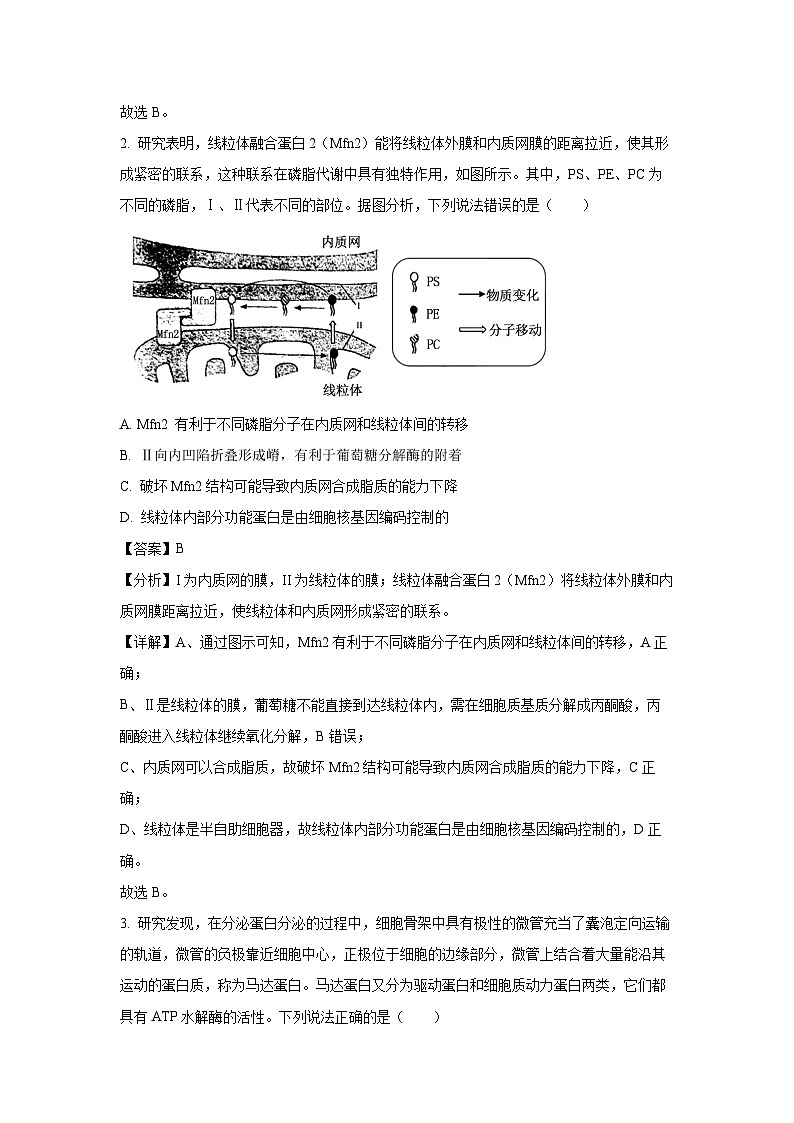 山东省青岛市2024-2025学年高三上学期11月期中生物试卷（解析版）第2页