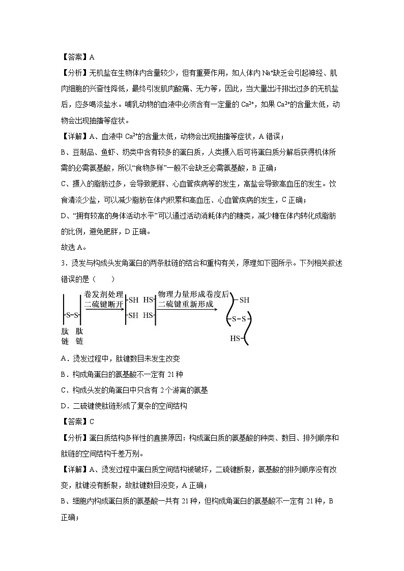 天津市河北区2024-2025学年高三上学期11月期中质量检测生物试卷（解析版）02
