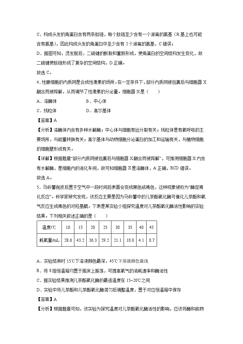 天津市河北区2024-2025学年高三上学期11月期中质量检测生物试卷（解析版）03
