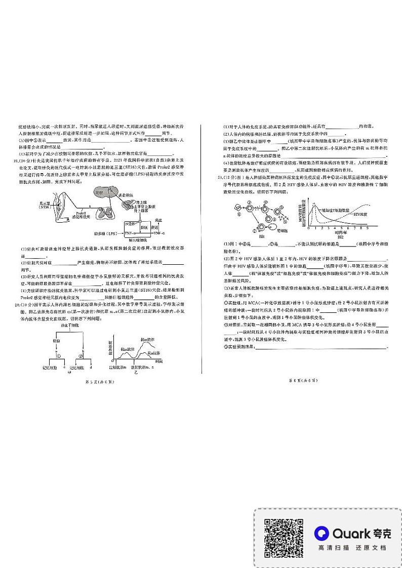 百师联盟2024-2025学年高二上学期11月期中考试生物试卷（PDF版附解析）第3页