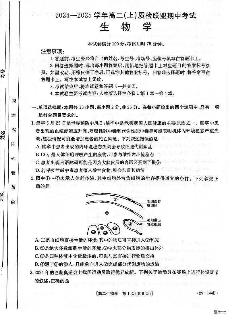 河北省邢台市质检联盟2024-2025学年高二上学期11月期中考试生物试卷（PDF版附答案）第1页