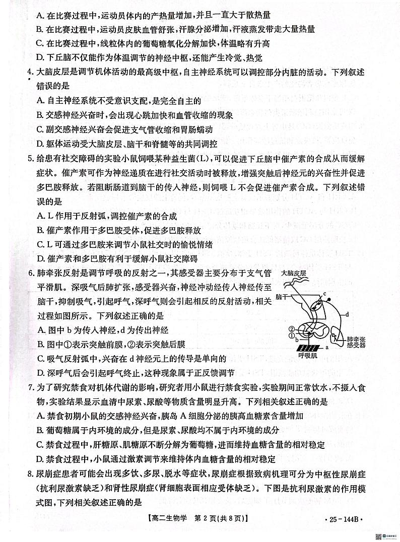 河北省邢台市质检联盟2024-2025学年高二上学期11月期中考试生物试卷（PDF版附答案）第2页