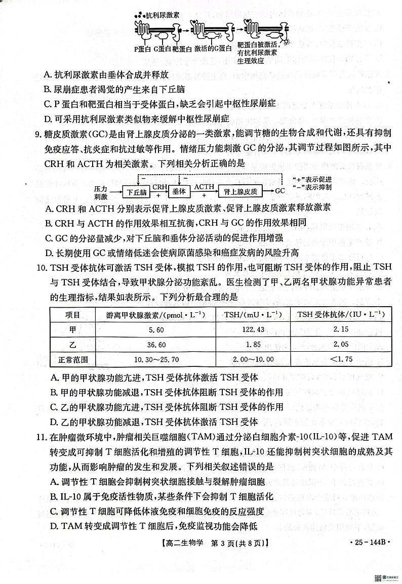 河北省邢台市质检联盟2024-2025学年高二上学期11月期中考试生物试卷（PDF版附答案）第3页