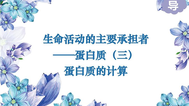 2025届高三一轮复习生物：生命活动的主要承担者——蛋白质课件第1页