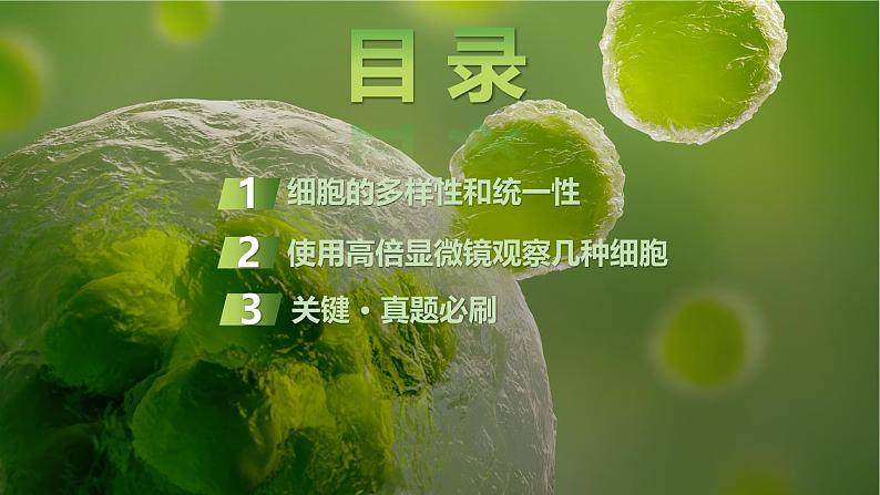 2025届高三生物一轮复习第1讲：借助显微镜走近细胞课件第2页