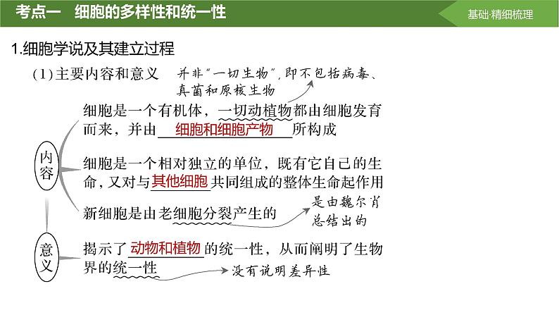 2025届高三生物一轮复习第1讲：借助显微镜走近细胞课件第4页