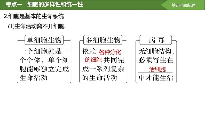 2025届高三生物一轮复习第1讲：借助显微镜走近细胞课件第7页