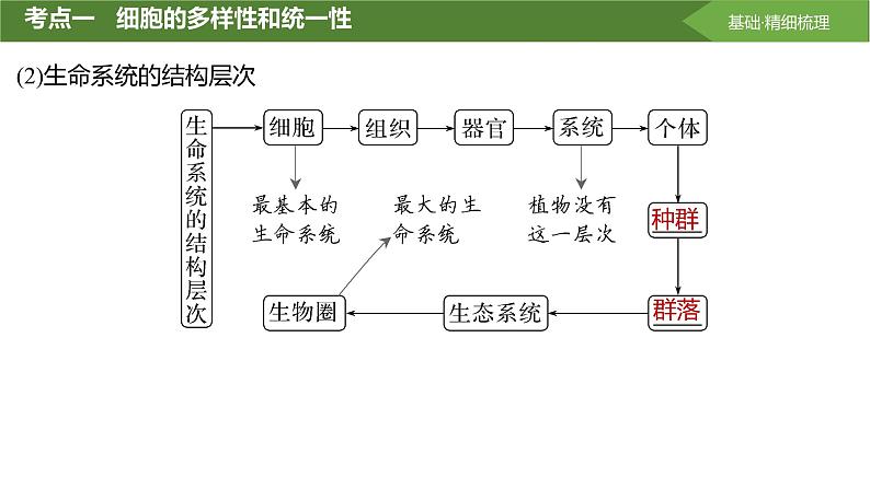 2025届高三生物一轮复习第1讲：借助显微镜走近细胞课件第8页