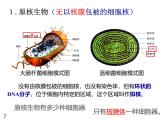 2025届高三生物一轮复习课件1.2细胞的多样性与统一性(1.5课时)