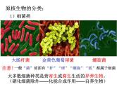 2025届高三生物一轮复习课件1.2细胞的多样性与统一性(1.5课时)