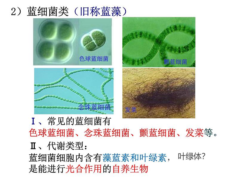 2025届高三生物一轮复习课件1.2细胞的多样性与统一性(1.5课时)第7页